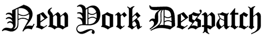 company-logo radius-image